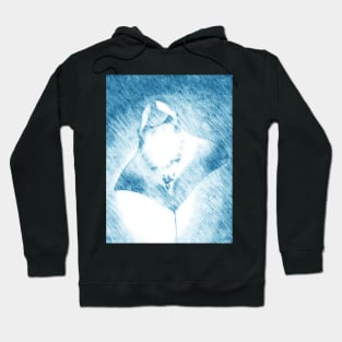 Manta Ray Hoodie